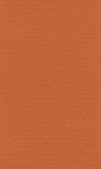 LANA Бумага для пастели «Lana Colours», 160 г/м?, 21х29,7 см, оранжевый